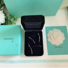 Tiffany T 925 zilveren draadstanghanger dames T-motief oorbellen rosé goud/zilver Valentijnsdag cadeau