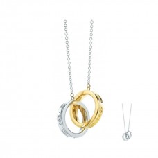 Tiffany 1837 in elkaar grijpende cirkels hanger ketting sterling zilver recensie dames VS