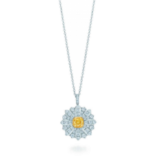 Tiffany Co. Schlumberger Daisy ketting ketting