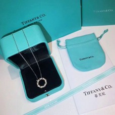 Tiffany Dupe Schlumberger Cirkel Hanger Kristallen Sterling Zilveren Ketting Dames Verguld Voor Dames